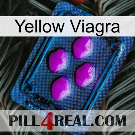 Yellow Viagra 04